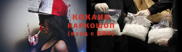 spice Аркадак