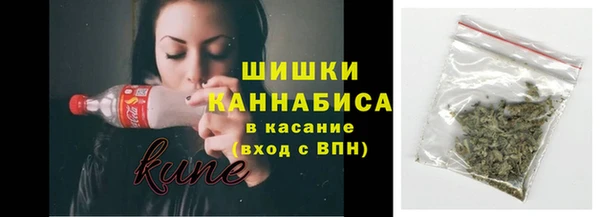 spice Аркадак