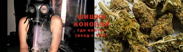 spice Аркадак