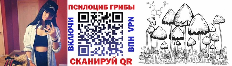 наркошоп  сайты даркнета как зайти  Галлюциногенные грибы GOLDEN TEACHER  Новый Оскол 